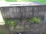 image of grave number 171487
